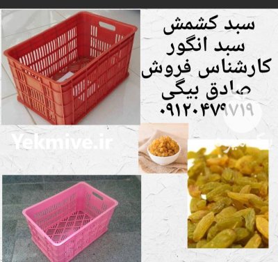 فروش سبد کشمش انگور سبد حمال در تاکستان در گروه خرید و فروش انواع سبد در یکمیوه -عکس1