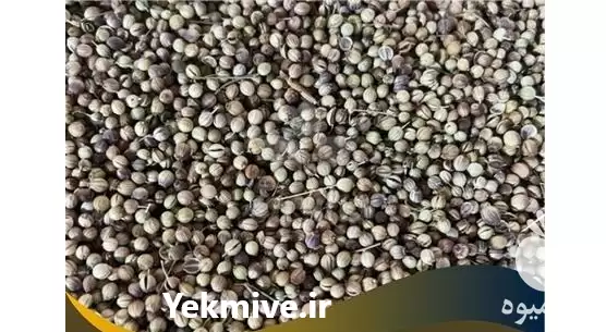 قیمت خرید تخم گشنیز قیمت خرید در تهران در گروه خرید و فروش گیاهان دارویی در یکمیوه -عکس1