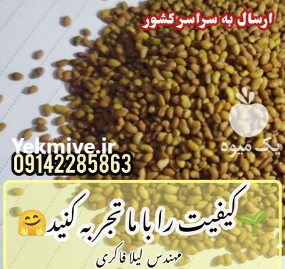 فروش بذر یونجه در نقده در آذربایجان غربی در گروه خرید و فروش بذر یونجه در یکمیوه -عکس1