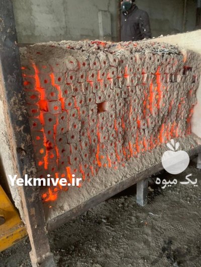 فروش زغال فشرده با تضمین کیفیت در بیجار در گروه خرید و فروش زغال فشرده در یکمیوه -عکس4