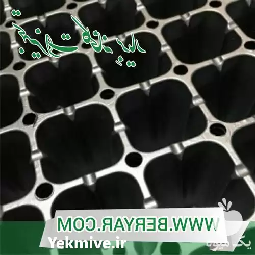 قیمت خرید سینی نشا در گروه خرید و فروش نشا در یکمیوه -عکس1