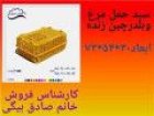 فروش قفس حمل مرغ زنده در تاکستان در گروه تجهیزات مرغداری در یکمیوه