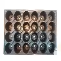 قیمت خرید سینی نشا در تهران در گروه خرید و فروش نشا در یکمیوه