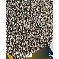 قیمت خرید تخم گشنیز قیمت خرید در تهران در گروه خرید و فروش گیاهان دارویی در یکمیوه