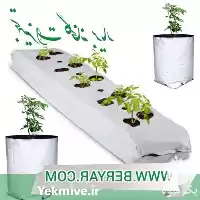 قیمت خرید گروبک یا کیسه کشت در گروه خرید و فروش بسته بندی نایلونی در یکمیوه