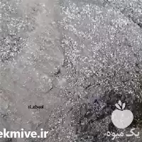 قیمت خرید تولید خاک بستر کشت در تهران در گروه خرید و فروش انواع کود کشاورزی در یکمیوه