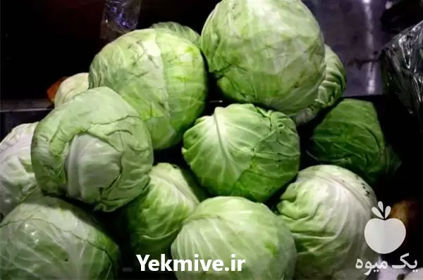 قیمت خرید کلم سفید و کلم در اصفهان در گروه خرید و فروش انواع کلم در یکمیوه -عکس1