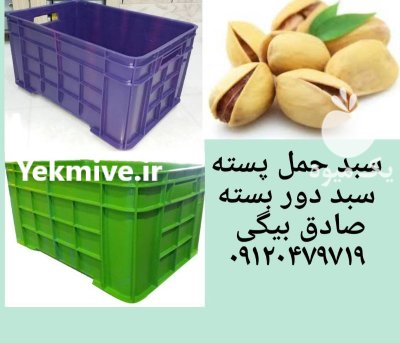 سبد پلاستیکی سبد پسته در تاکستان در گروه خرید و فروش انواع سبد در یکمیوه -عکس1