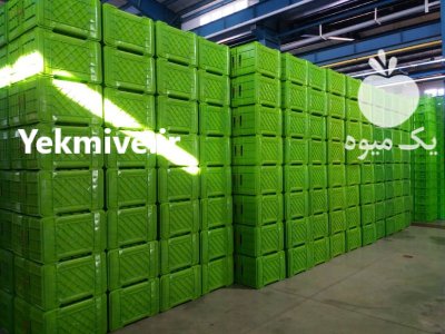 سبد پلاستیکی سبد پسته در تاکستان در گروه خرید و فروش انواع سبد در یکمیوه -عکس2