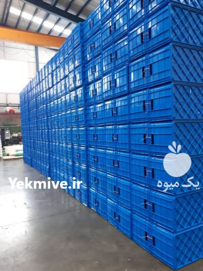 سبد پلاستیکی سبد پسته در تاکستان در گروه خرید و فروش انواع سبد در یکمیوه -عکس3