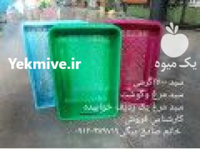 سبد کشتارگاهی مرغ و گوشت در تاکستان در گروه خرید و فروش انواع سبد در یکمیوه -عکس1