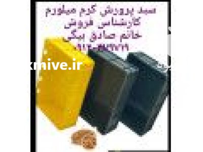 سبد پرورش کرم میلورم در تاکستان در قزوین در گروه خرید و فروش انواع سبد در یکمیوه -عکس1