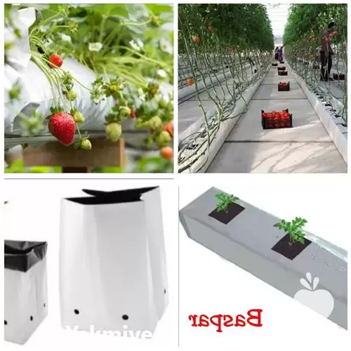 قیمت خرید کیسه کشت گروبک در گروه خرید و فروش بسته بندی نایلونی در یکمیوه -عکس1