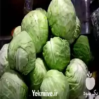 قیمت خرید کلم سفید و کلم در اصفهان در گروه خرید و فروش انواع کلم در یکمیوه