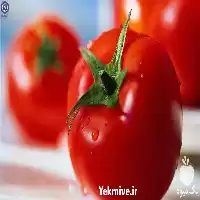 قیمت و عمده گوجه صادراتی در کرمان  در گروه خرید و فروش گوجه فرنگی در یکمیوه