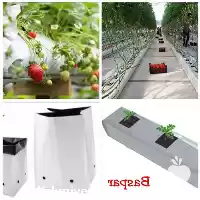 قیمت خرید کیسه کشت گروبک در گروه خرید و فروش بسته بندی نایلونی در یکمیوه