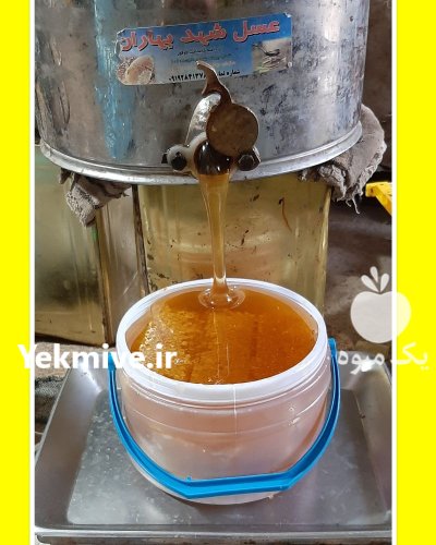 عسل طبیعی و فروش زنبور عسل در قزوین در گروه خرید و فروش زنبورعسل در یکمیوه -عکس3