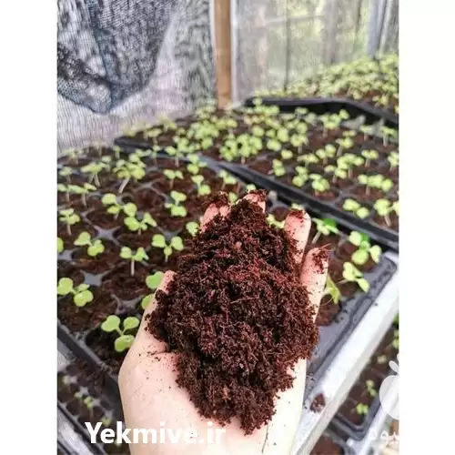 فروش عمده کوکوپیت در تهران در گروه خرید و فروش انواع کود کشاورزی در یکمیوه -عکس1