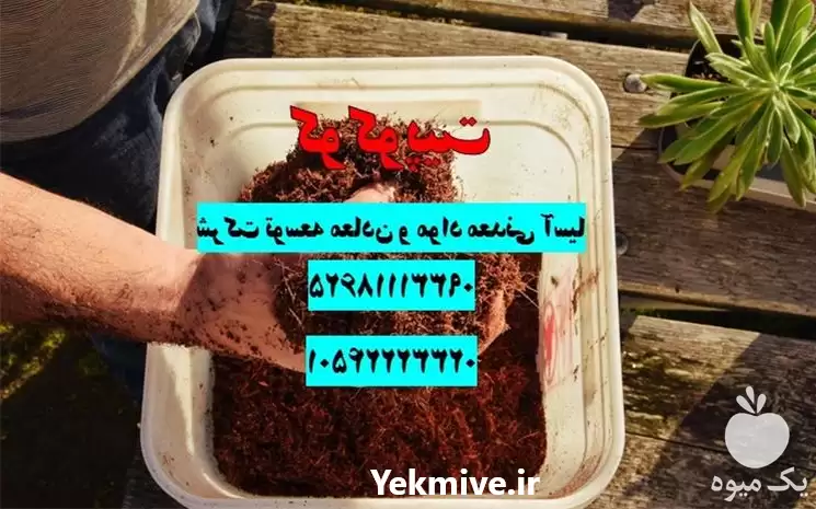 فروش کوکوپیت سریلانکایی در تهران در گروه خرید و فروش انواع کود کشاورزی در یکمیوه -عکس1