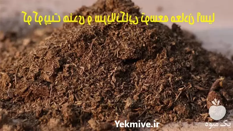 فروش کوکوپیت هندی و سریلانکایی در سنندج در گروه خرید و فروش انواع کود کشاورزی در یکمیوه -عکس1