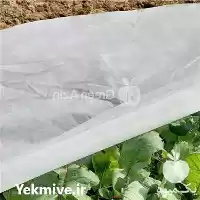 قیمت خرید اسپان باند کشاورزی در سمنان در گروه خرید و فروش توری گلخانه در یکمیوه