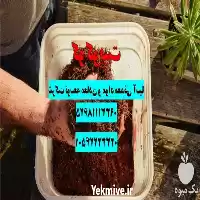 فروش کوکوپیت سریلانکایی در تهران در گروه خرید و فروش انواع کود کشاورزی در یکمیوه