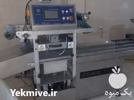 قیمت خرید خط تولید سبزی خوردن در گروه خرید و فروش خط تولید در یکمیوه -عکس1