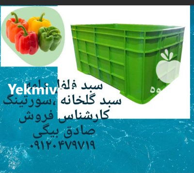 سبد فلفل دلمه جعبه پلاستیکی در تاکستان در گروه خرید و فروش انواع سبد در یکمیوه -عکس1