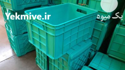 سبد فلفل دلمه جعبه پلاستیکی در تاکستان در گروه خرید و فروش انواع سبد در یکمیوه -عکس4