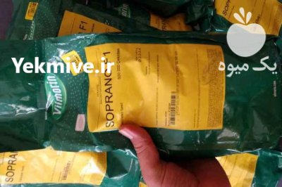 فروش بذر هویج ویلمورین SOPRANO در اهواز در گروه خرید و فروش بذر هویج در یکمیوه -عکس1