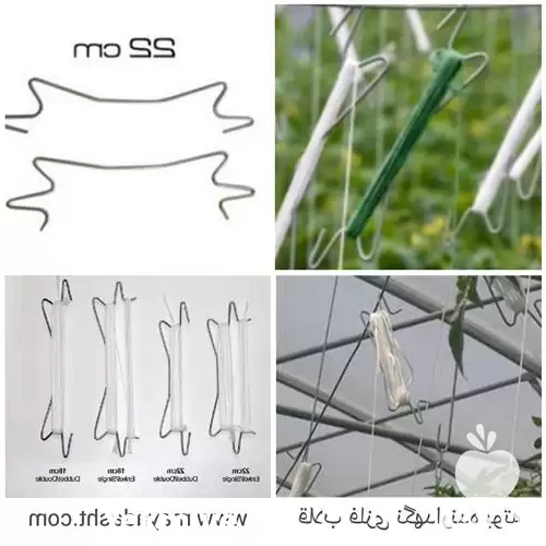 فروش قلاب فلزی نگهدارنده بوته در گروه خرید و فروش تجهیزات گلخانه در یکمیوه -عکس1