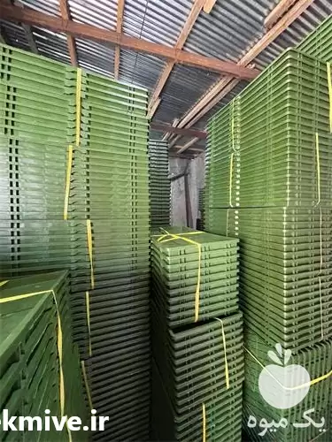 فروش سینی نشا برنج تولید کننده در رشت در گروه خرید و فروش نشا در یکمیوه -عکس1