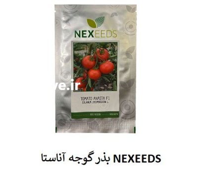فروش بذر گوجه آناستا NEXEEDS بذر در اهواز در گروه خرید و فروش بذر گوجه در یکمیوه -عکس1