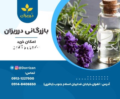 فروش روغن اسطوخودوس روغن اسطوخودوس در گروه خرید و فروش انواع روغن در یکمیوه -عکس1