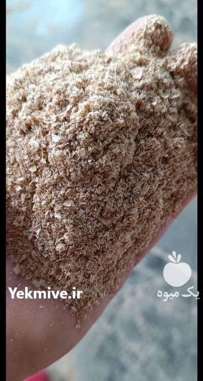 سبوس گندم در گرگان در گروه خرید و فروش گندم و جو در یکمیوه -عکس1