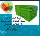 سبد فلفل دلمه جعبه پلاستیکی در تاکستان در گروه خرید و فروش انواع سبد در یکمیوه