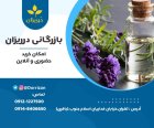 فروش روغن اسطوخودوس روغن اسطوخودوس در گروه خرید و فروش انواع روغن در یکمیوه