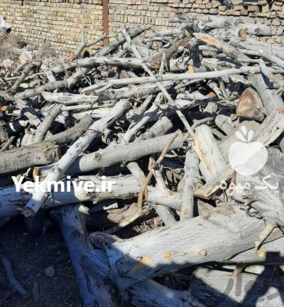 خرید چوب آلات باغی در اوز در گروه خرید و فروش انواع چوب در یکمیوه -عکس1