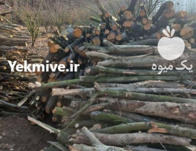 خرید چوب آلات باغی در اوز در گروه خرید و فروش انواع چوب در یکمیوه -عکس2