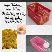 قیمت خرید سبد کشمش در تاکستان در گروه خرید و فروش انواع سبد در یکمیوه
