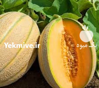 فروش ملون و جانا در شبانکاره در گروه خرید و فروش ملون در یکمیوه -عکس1