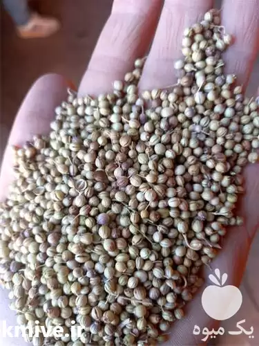 خرید و فروش و قیمت تخم در همدان در گروه خرید و فروش گیاهان دارویی در یکمیوه -عکس1