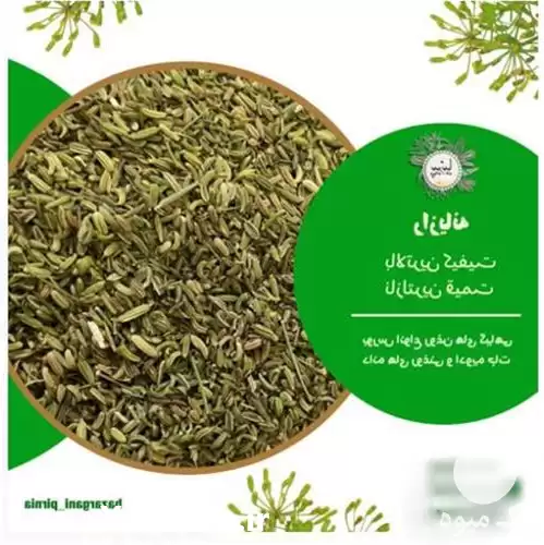 قیمت خرید رازیانه بوجاری با کیفیت در تهران در گروه خرید و فروش گیاهان دارویی در یکمیوه -عکس1