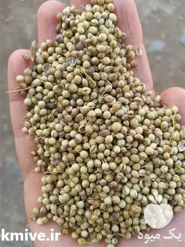 فروش قیمت تخم گشنیز قیمت عمده در همدان در گروه خرید و فروش ادویه در یکمیوه -عکس1
