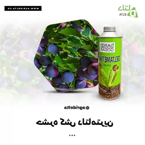 قیمت خرید حشره کش دلتامترین در ساری در گروه خرید و فروش انواع سم در یکمیوه -عکس1