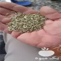 فروش قیمت تخم گشنیز در همدان در گروه خرید و فروش گیاهان دارویی در یکمیوه