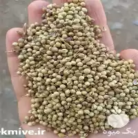 فروش قیمت تخم گشنیز قیمت عمده در همدان در گروه خرید و فروش ادویه در یکمیوه