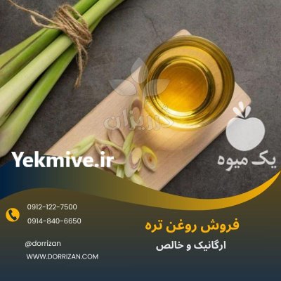 فروش روغن تره اصل در گروه خرید و فروش انواع روغن در یکمیوه -عکس1