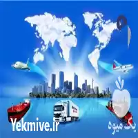 شرکت حمل نقل بین المللی پویا در تهران در گروه حمل و نقل بین المللی در یکمیوه