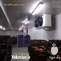 فروش ساخت سردخانه و طراحی در گروه سردخانه در یکمیوه